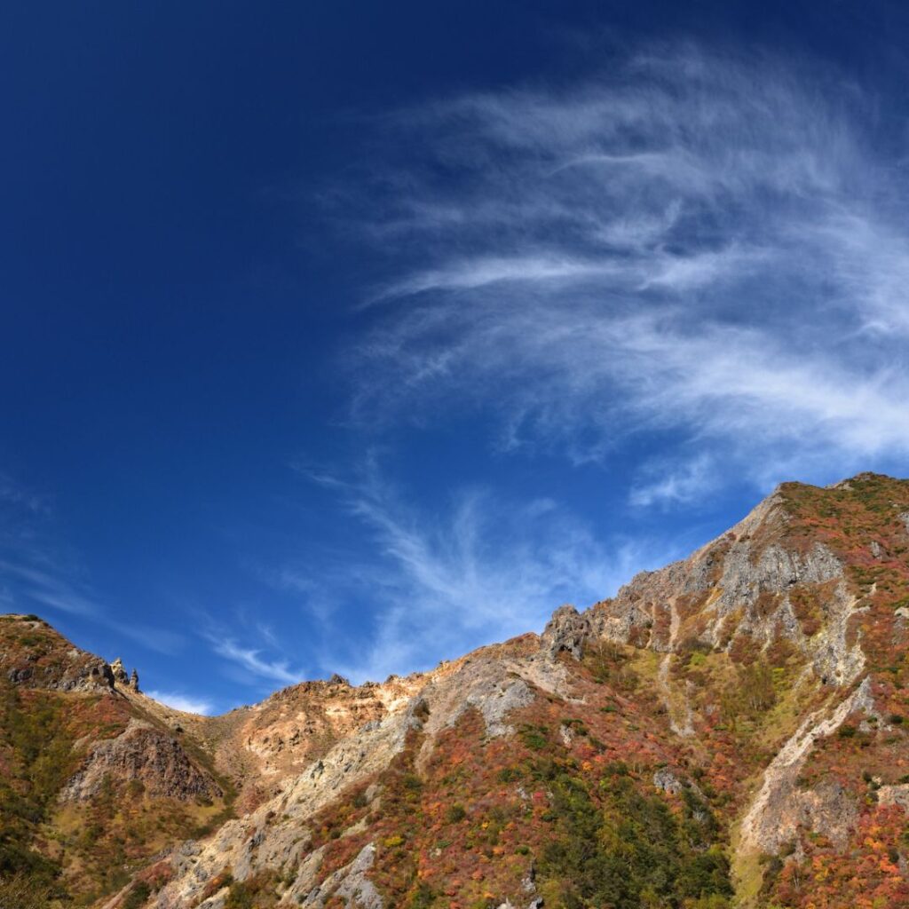 那須高原の画像